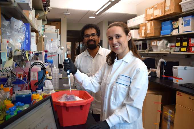 Neuroscientist Sathya Puthanveettil, Ph.D., of The Wertheim UF Scripps Institute, joins postdoctoral researcher Jena Wingfield, Ph.D., in the lab. They discovered a new long noncoding RNA that directs neurons to build connections during fear conditioning. 