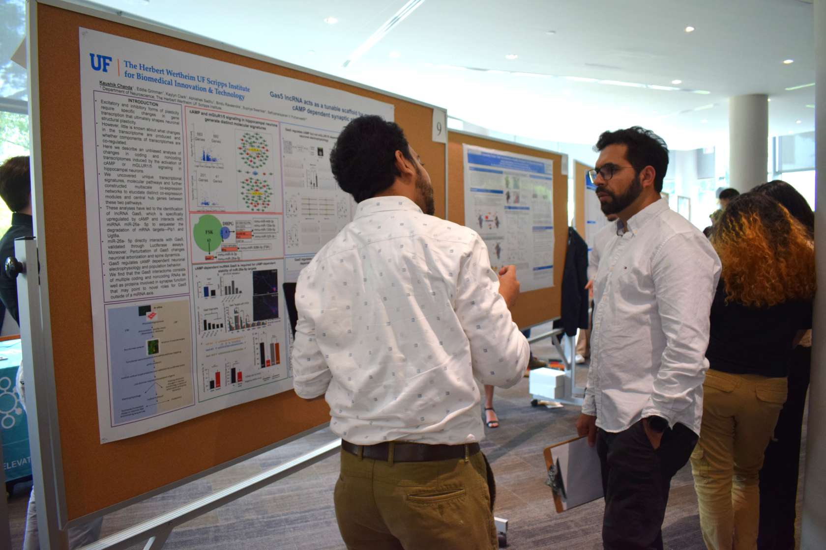 Research Fest posters 5